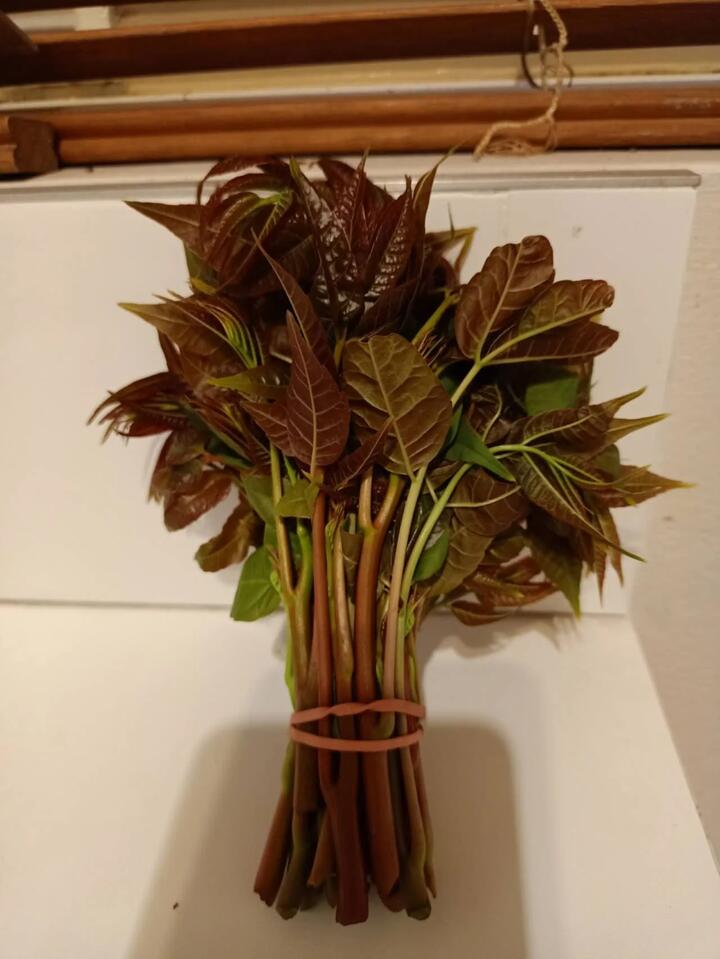 Fresh Chinese Toon Leaves, 50g