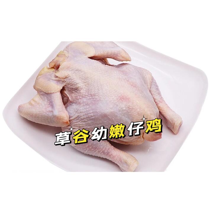 Wonderwander Tender Young Grass-Fed Chicken (250g) [Frozen]