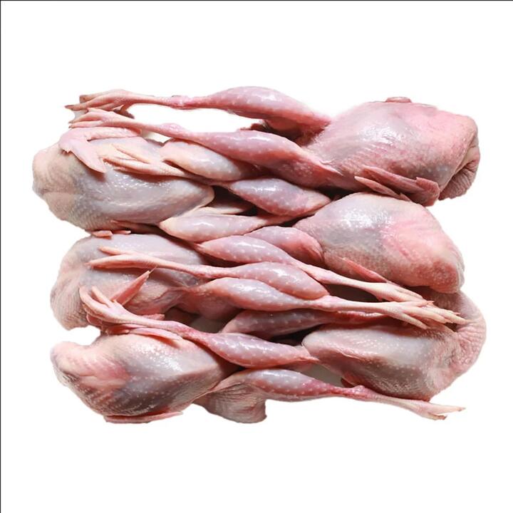 SFP Frozen Quail (6 Pack) 1kg+