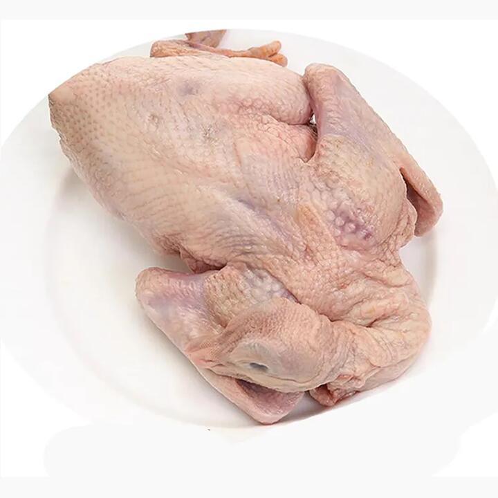 Wonderwander Frozen Free-Range Wild Pigeon, 1 Piece, 350g+