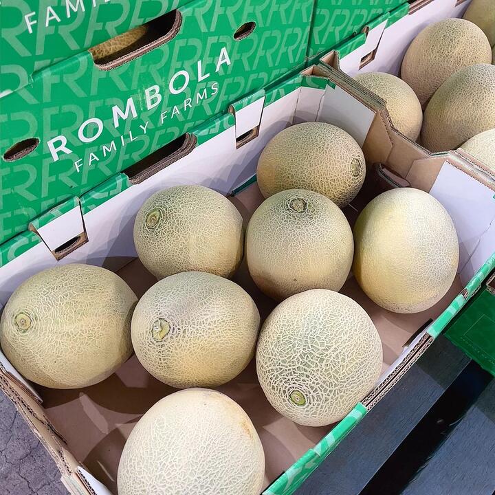 Small Rockmelon Hami Melon - 1 Piece
