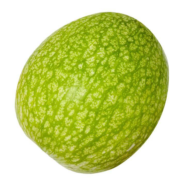Shark Fin Melon - 1 Piece, 1.5kg