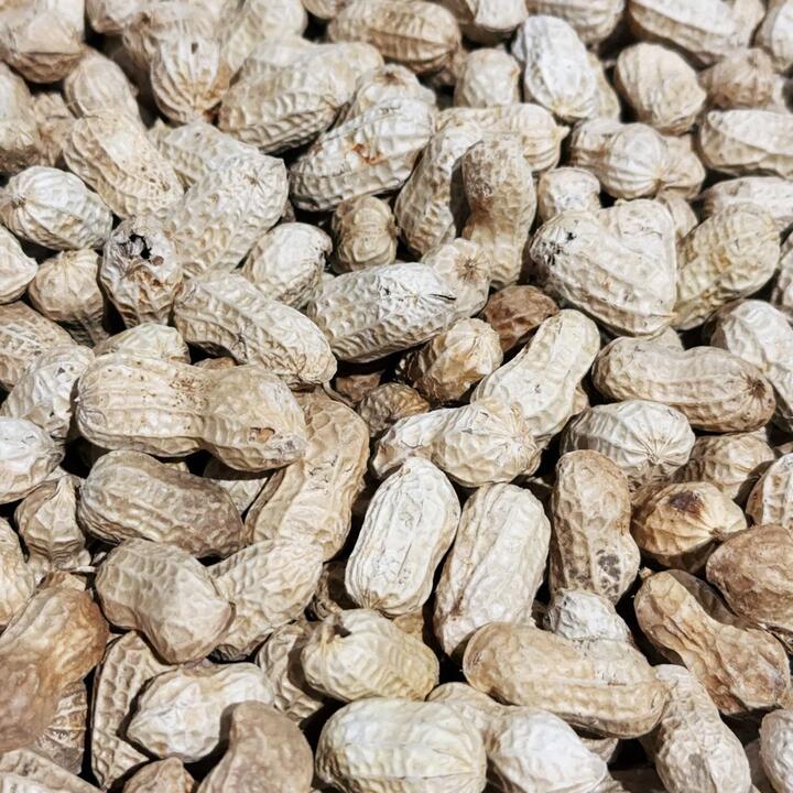 Green Leaf Farm Raw Peanuts - 500g