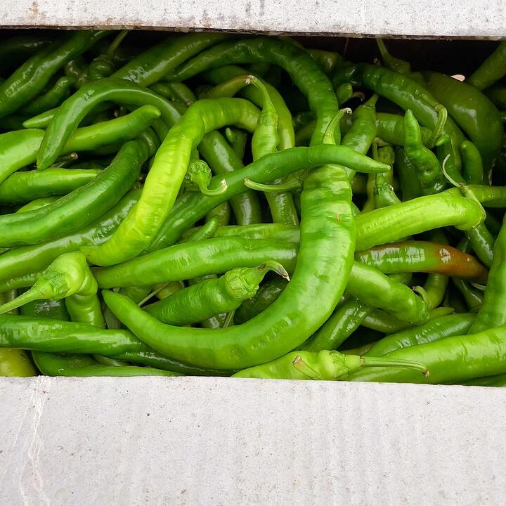 Xinjiang Green Chili Peppers - 500g