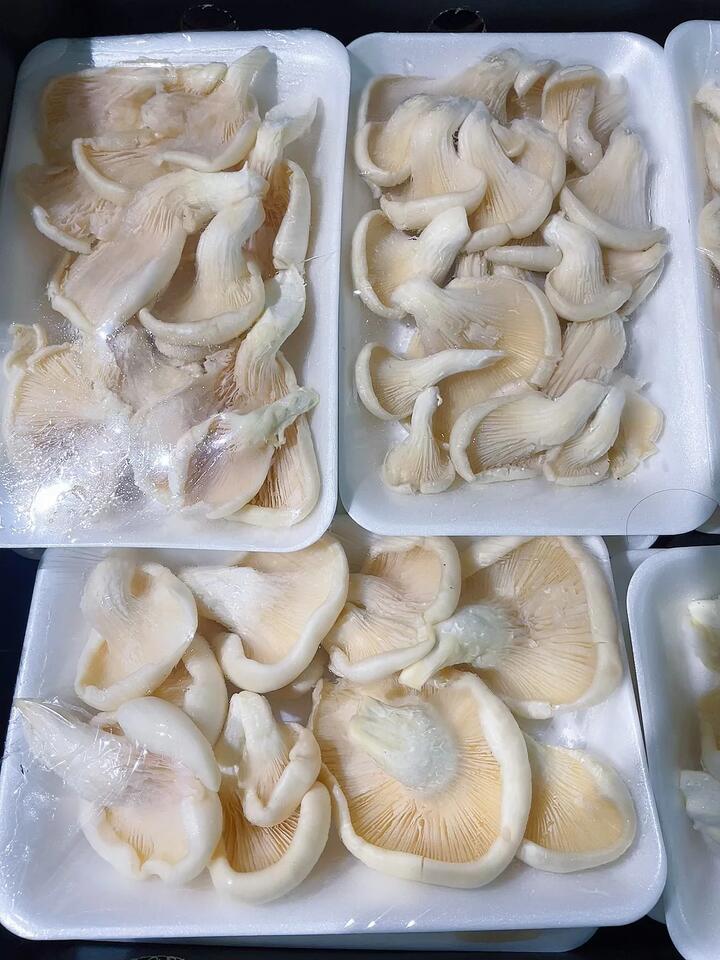 Special Offer White Oyster Mushrooms - 1 Box