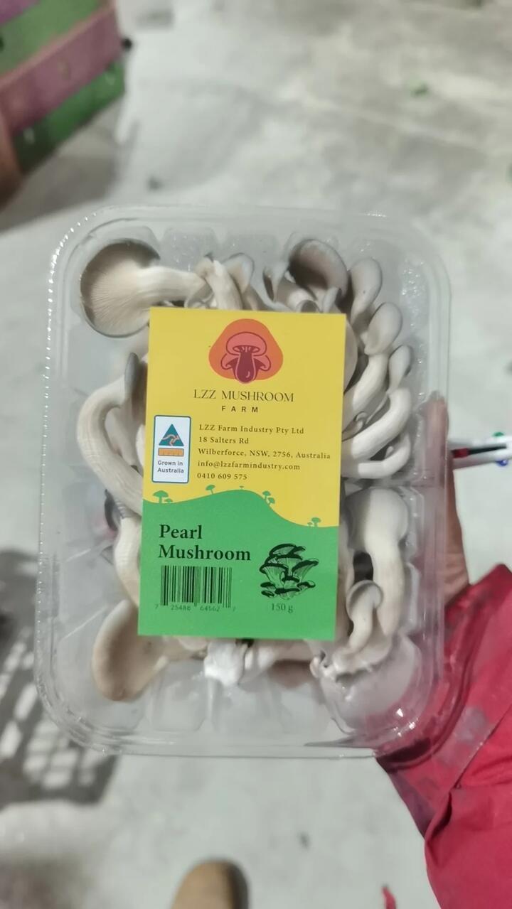 LZZ Mushroom Pearl Mushrooms - 150g
