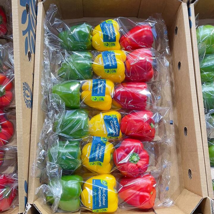 Tricolor Bell Peppers (Green, Yellow, Red) - 1 Pack