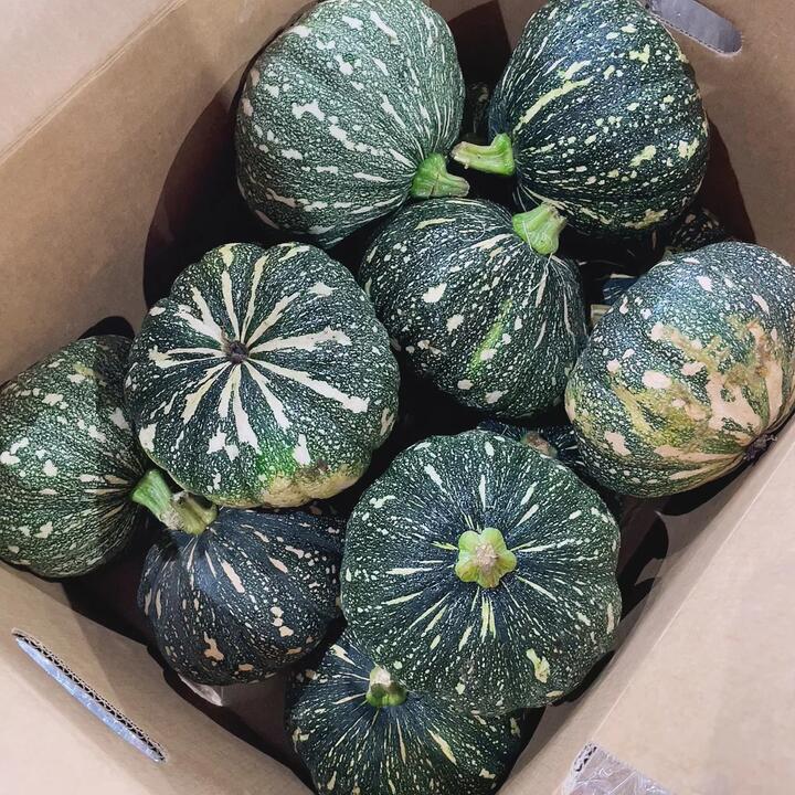 Baby Pumpkin - 1 Piece, 800-1000g