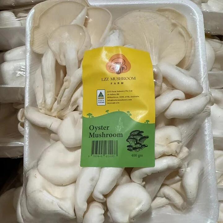 LZZ Mushroom Farm Fresh Oyster Mushrooms - 400g