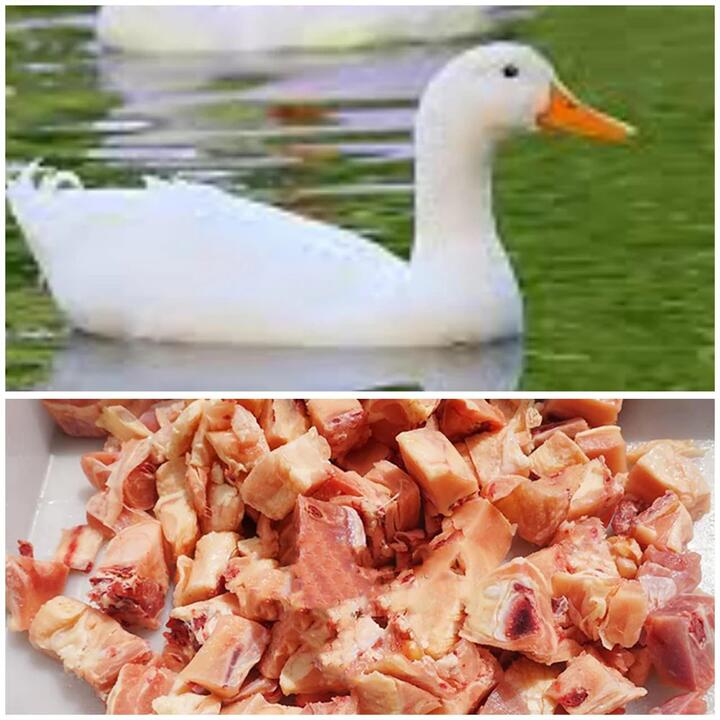 Wonderwander Frozen Chopped Old Duck - 850g