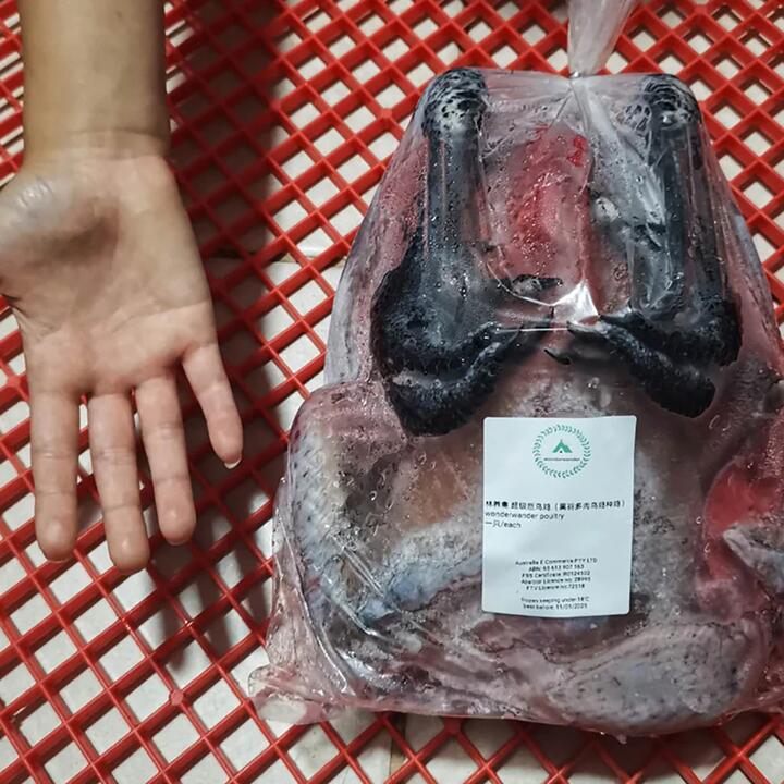 Wonderwander Frozen Extra Large Black Feather Silkie Chicken - 1 Piece