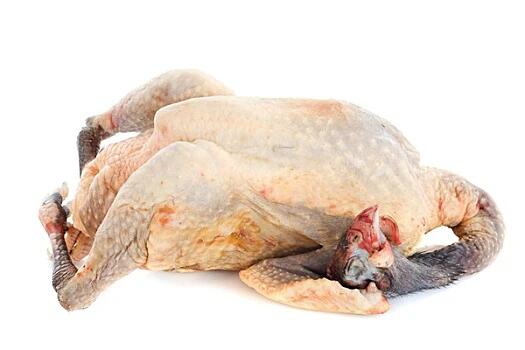 Wonderwander Frozen Guinea Fowl - 1 Piece