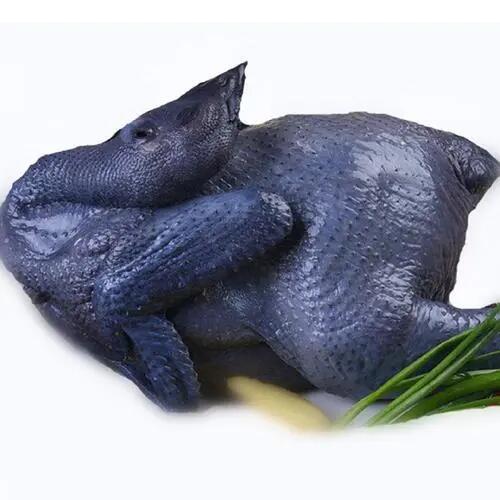 Wonderwander Frozen Silkie Chicken - 1 Piece, 200-400g