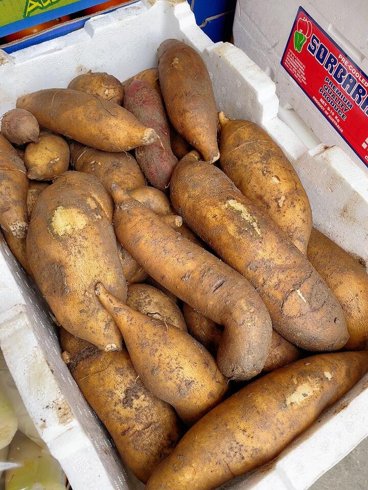 Yacon Root - 1kg