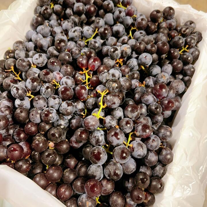 Black Muscat Grapes - 1kg