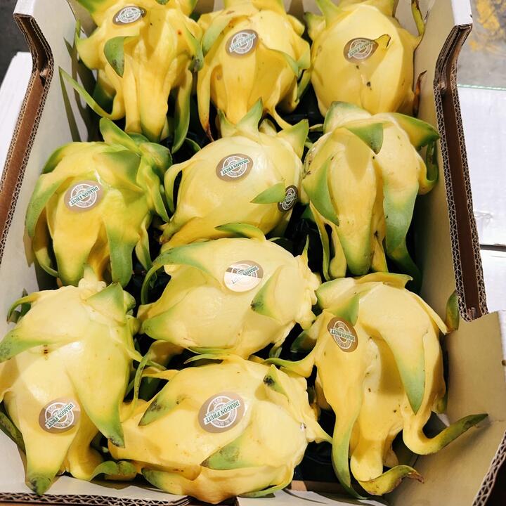 Yellow Dragon Fruit - 1 Piece