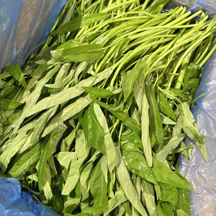 Queensland Water Spinach - 300g