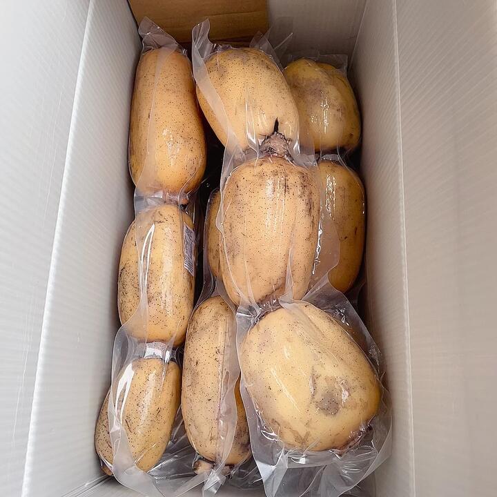 Fresh Lotus Root - 680-700g