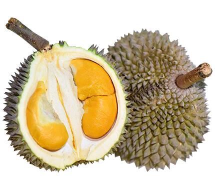 D13 Zhuque 'Little Black Thorn' Golden Durian - 1.6-1.8kg Each