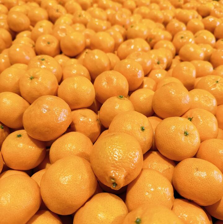 Small Sweet Tangerines 1kg