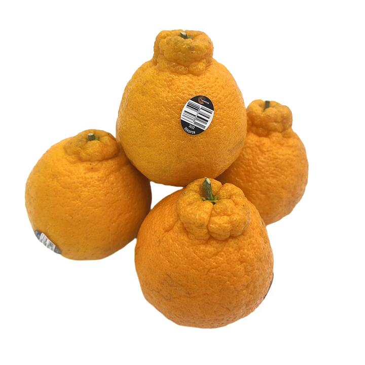 Shiranui Oranges - 1kg