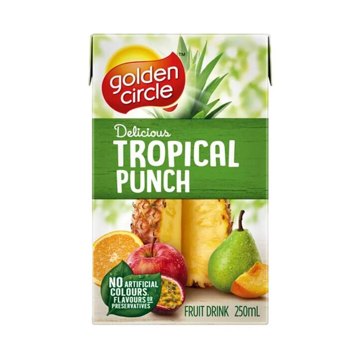 Golden Circle Tropical Punch Fruit Drink - 250ml