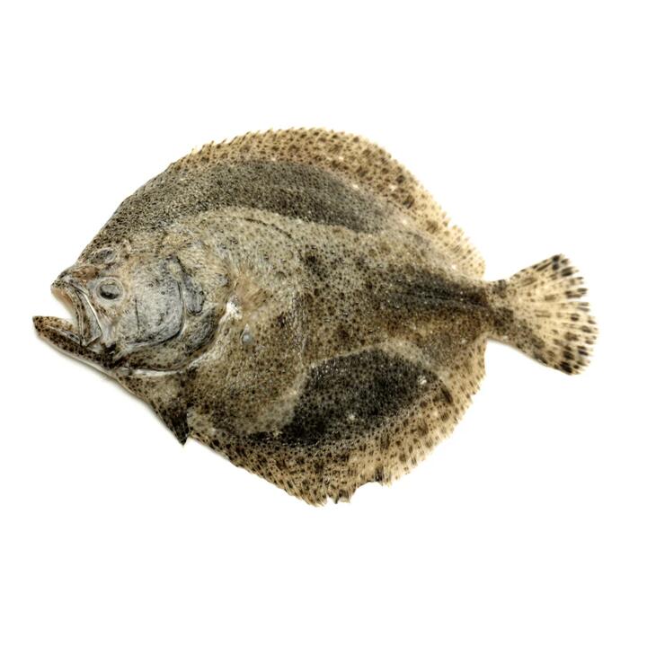 Frozen Lemon Sole - Whole 220g