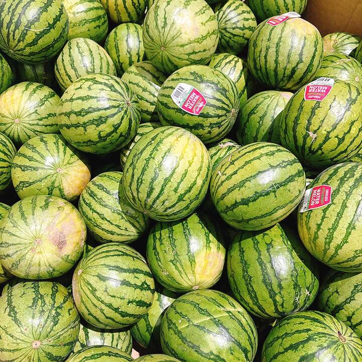 Mini Seedless Sugar Melon - 1 Piece 2-3 kg