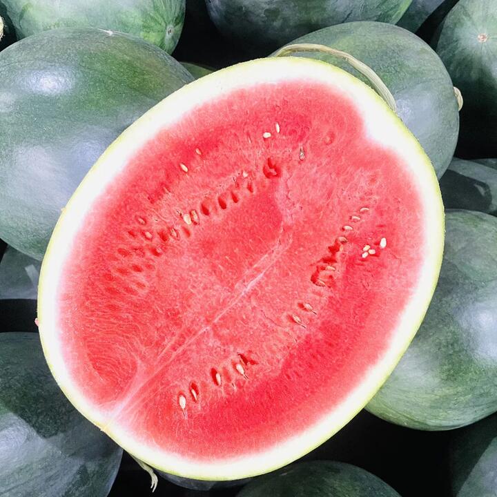 Watermelon (Dark Green Rind) – Approx. 4–5 kg