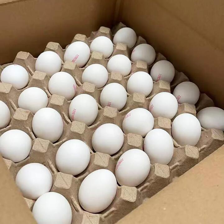 Rare Cage Free White Eggs - Tray of 30