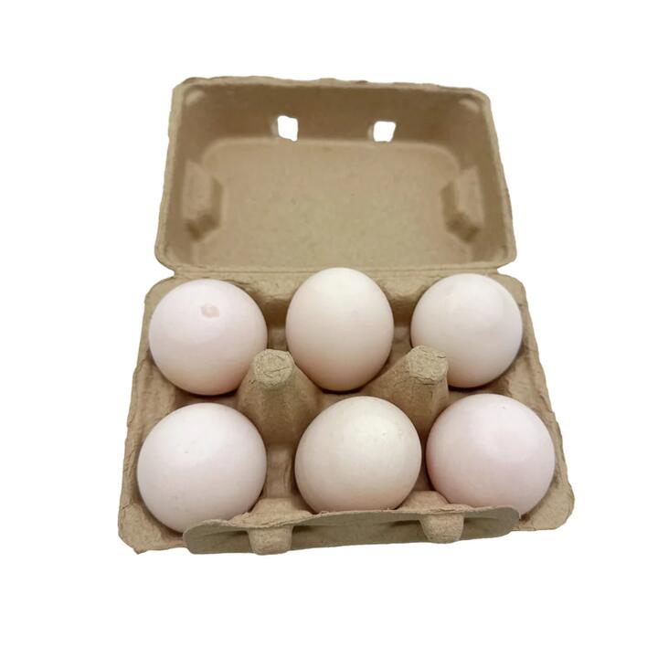 AurumPoultry Fresh Farm Duck Eggs - 6 Pieces