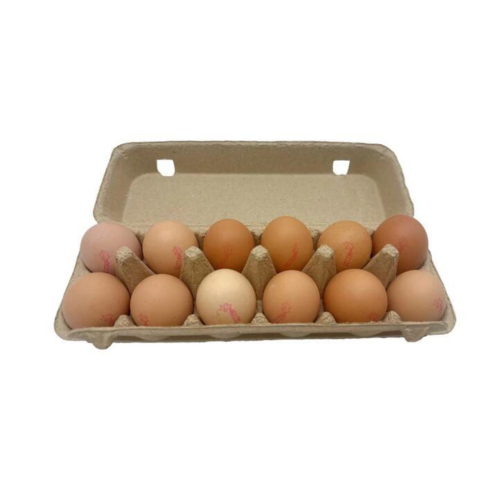 Jones Bros Nature's Free Range Eggs XL - 12 Pieces, 700g