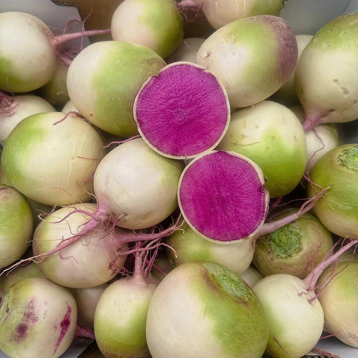 Xinlimei Radish - 1-1.1kg