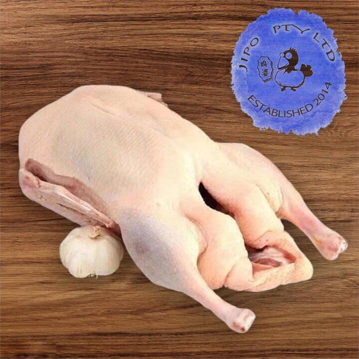 Jipo Frozen Small Old Duck for Soup - 1.8kg
