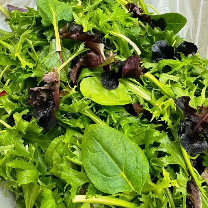 Fresh Mixed Salad Greens (Mesclun Blend) 300g – Baby Spinach, Arugula & Lettuce Mix