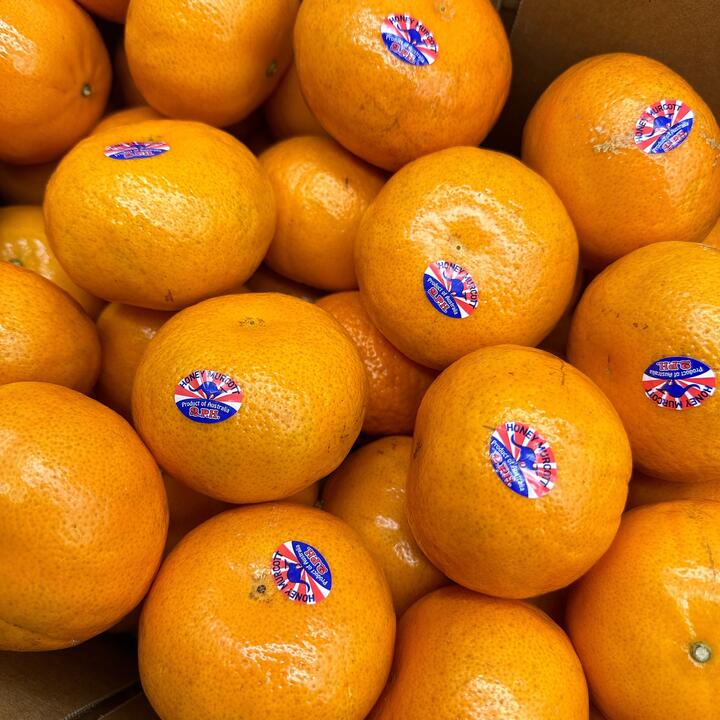 2PH Honey Murcott Mandarins 0.9-1kg